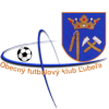 TJ Partizan Lubela logo