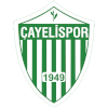 Cayelispor logo