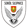 Sokol Slopnice logo