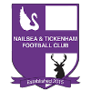 Nailsea Tickenham logo