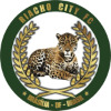 Riacho City FC logo
