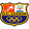 Cesson logo