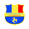 RFG Melinesti logo