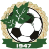 NK Vinogorac logo