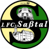 1. FC Sasstal logo