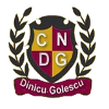 CN Dinicu Golescu U19 logo