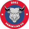 Parintins U19 logo