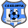 CS Gilortul Targu Carbunesti II logo