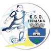CSO Tismana logo