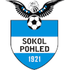 TJ Sokol Pohled logo