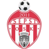 Sepsi OSK Sfantul Gheorghe (W) logo