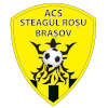 SR Brasov U19 logo