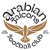 Arabian Falcons FC logo