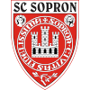 Soproni Egyetem (W) logo