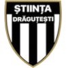 CS Stiinta Dragutesti logo