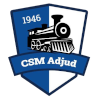 CSM Adjud logo