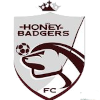 Benue Queens (W) logo