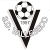 SD Valleseco U19 logo