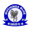 Muchinga Blue Eagles logo