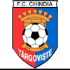 Chindia Targoviste (W) logo