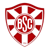 Botafogo BA U20 logo