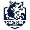 Nantong Team logo