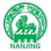Nanjing Team logo