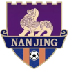 Nanjing Team logo