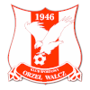 Orzel Walcz logo