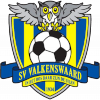 SV Valkenswaard logo