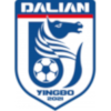 Dalian Yingbo U21 logo