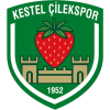 Fethiye logo