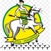 ASFA-Yennega logo