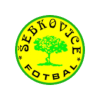 TJ Sokol Sebkovice logo