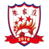 Shandong Zhujiazhuang logo