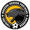 Ashdod Panthers (W) logo