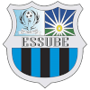 Essube MG logo