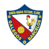 Santa Maria U19 logo