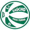 Gaucho U20 logo