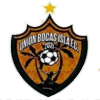 Union Bocas Isla FC logo