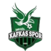 Inegol Kafkasspor U19 logo