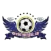 New Stone Town logo
