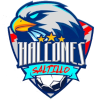 Halcones de Saltillo logo