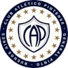 CA Pintense logo