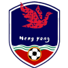 Hengyang Football Team logo