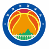 Yiyang Football Team logo