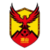 Liangshan Team logo