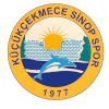 Kucukcekmece Sinopspor U19 logo