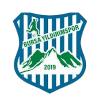 Bursa Yildirimspor U19 logo