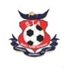 Small Town FC (W) logo